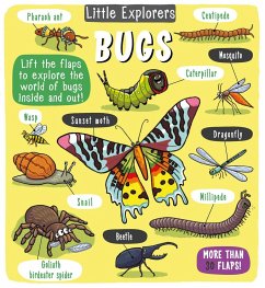 Little Explorers: Bugs - Little Bee Books