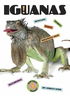 Cover Iguanas