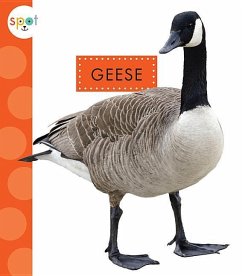 Geese - Schuh, Mari C