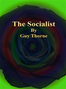 The Socialist (eBook, ePUB) - Thorne, Guy