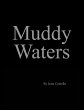 Muddy Waters - Bild 1