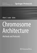 Chromosome Architecture - Bild 1