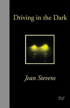 Driving in the Dark - Stevens, Jean