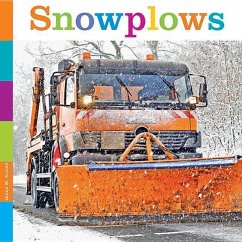 Snowplows - Arnold, Quinn M