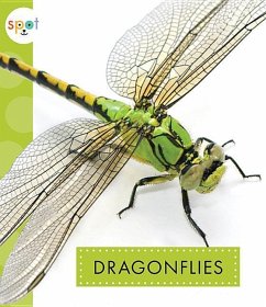 Dragonflies - Black, Nessa
