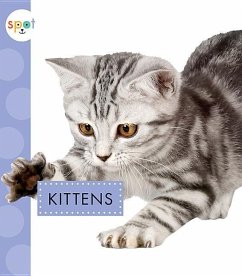 Kittens - Suen, Anastasia