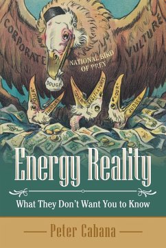 Energy Reality - Cabana, Peter