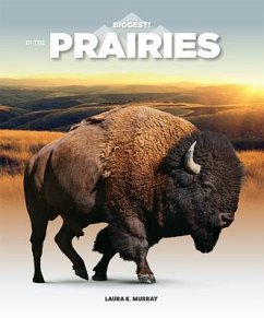 In the Prairies - Murray, Laura K.