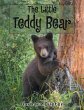 The Little Teddy Bear - Bild 1