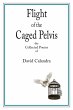 Flight of the Caged Pelvis - Bild 1