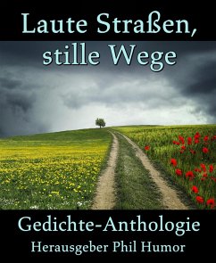 Laute Straßen, stille Wege (eBook, ePUB) - Humor, Phil