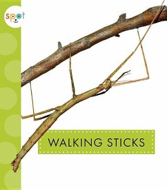 Walking Sticks - Black, Nessa