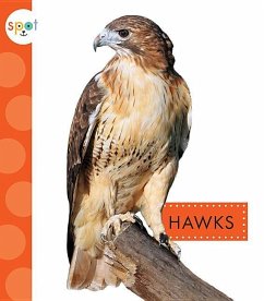 Hawks - Schuh, Mari C