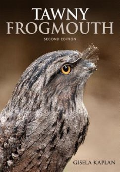 Tawny Frogmouth - Kaplan, Gisela