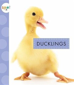 Ducklings - Suen, Anastasia