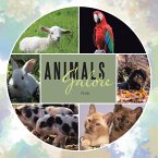 Animals Galore (eBook, ePUB)