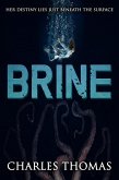 Brine (eBook, ePUB)