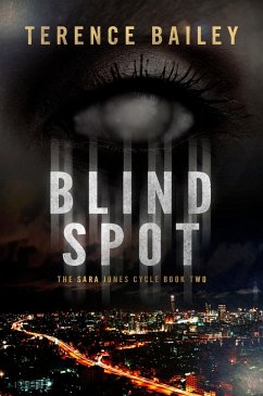 Blind Spot (eBook, ePUB) - Bailey, Terence