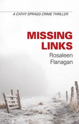 Missing Links (eBook, ePUB)
