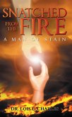 Snatched from the Fire (eBook, ePUB)