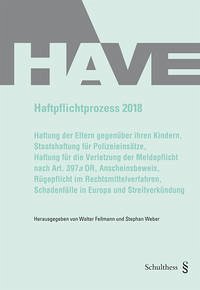 Haftpflichtprozess 2018 - Fellmann, Walter