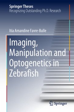 Imaging, Manipulation and Optogenetics in Zebrafish - Favre-Bulle, Itia Amandine