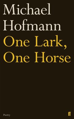 One Lark, One Horse (eBook, ePUB) - Hofmann, Michael