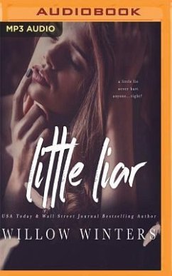 Little Liar - Winters, Willow