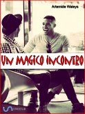 Un magico incontro (eBook, ePUB)