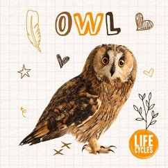 Cover Owl