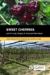 Sweet Cherries - Bild 1