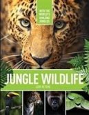 Jungle Wildlife Jungle Wildlife