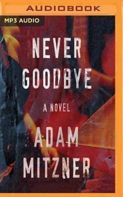 Never Goodbye - Mitzner, Adam