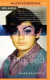 Trans Figured: My Journey from Boy to Girl to Woman to Man