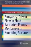 Buoyancy-Driven Flow in Fluid-Saturated Porous Media near a Bounding Surface (eBook, PDF)