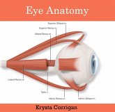 Eye Anatomy (eBook, PDF)