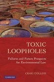 Toxic Loopholes (eBook, ePUB)