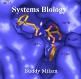 Systems Biology (eBook, PDF)