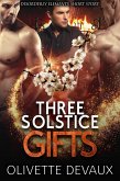Three Solstice Gifts (Disorderly Elements Short Stories) (eBook, ePUB)