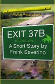Exit 37B (eBook, ePUB)