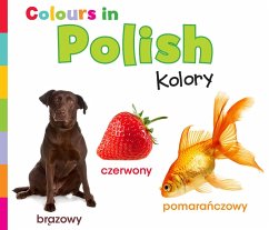 Colours in Polish (eBook, PDF) - Nunn, Daniel