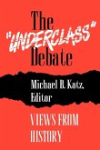 The &quote;Underclass&quote; Debate (eBook, PDF)
