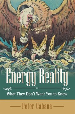Cover Energy Reality (eBook, ePUB)