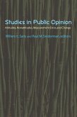 Studies in Public Opinion (eBook, PDF)