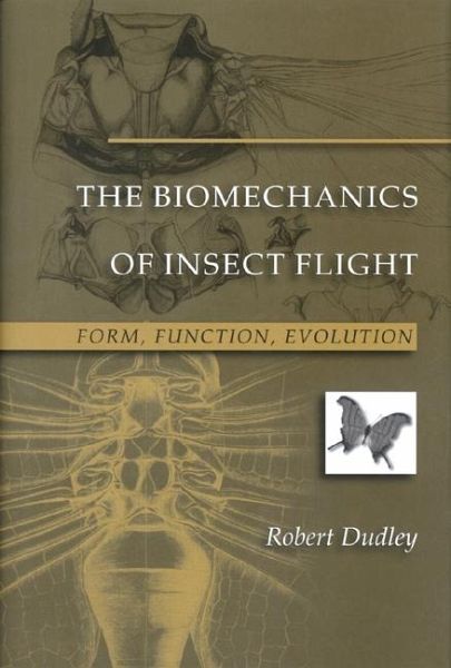 The Biomechanics of Insect Flight (eBook, PDF)