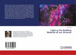 Light as the Building Material of our Universe - Vegt, Wim