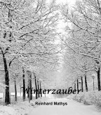 Winterzauber (eBook, ePUB)