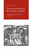 From Insurrection to Revolution in Mexico (eBook, PDF)