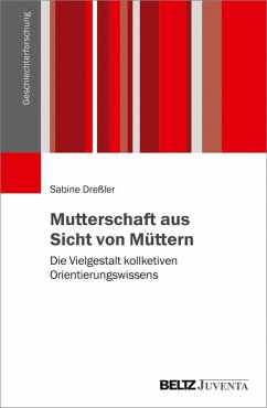 Mutterschaft aus Sicht von Müttern (eBook, PDF) - Dreßler, Sabine