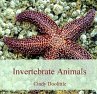 Invertebrate Animals (eBook, PDF) - Bild 1